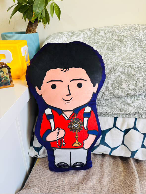 Saint PALS Pillows